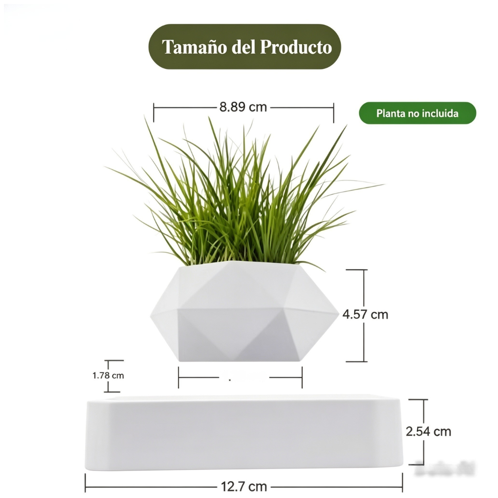 La maceta flotante que transforma cualquier espacio de la casa u oficina